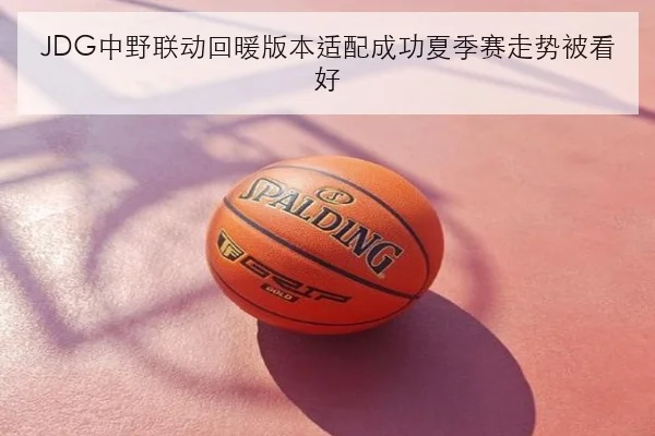 JDG中野联动回暖版本适配成功夏季赛走势被看好